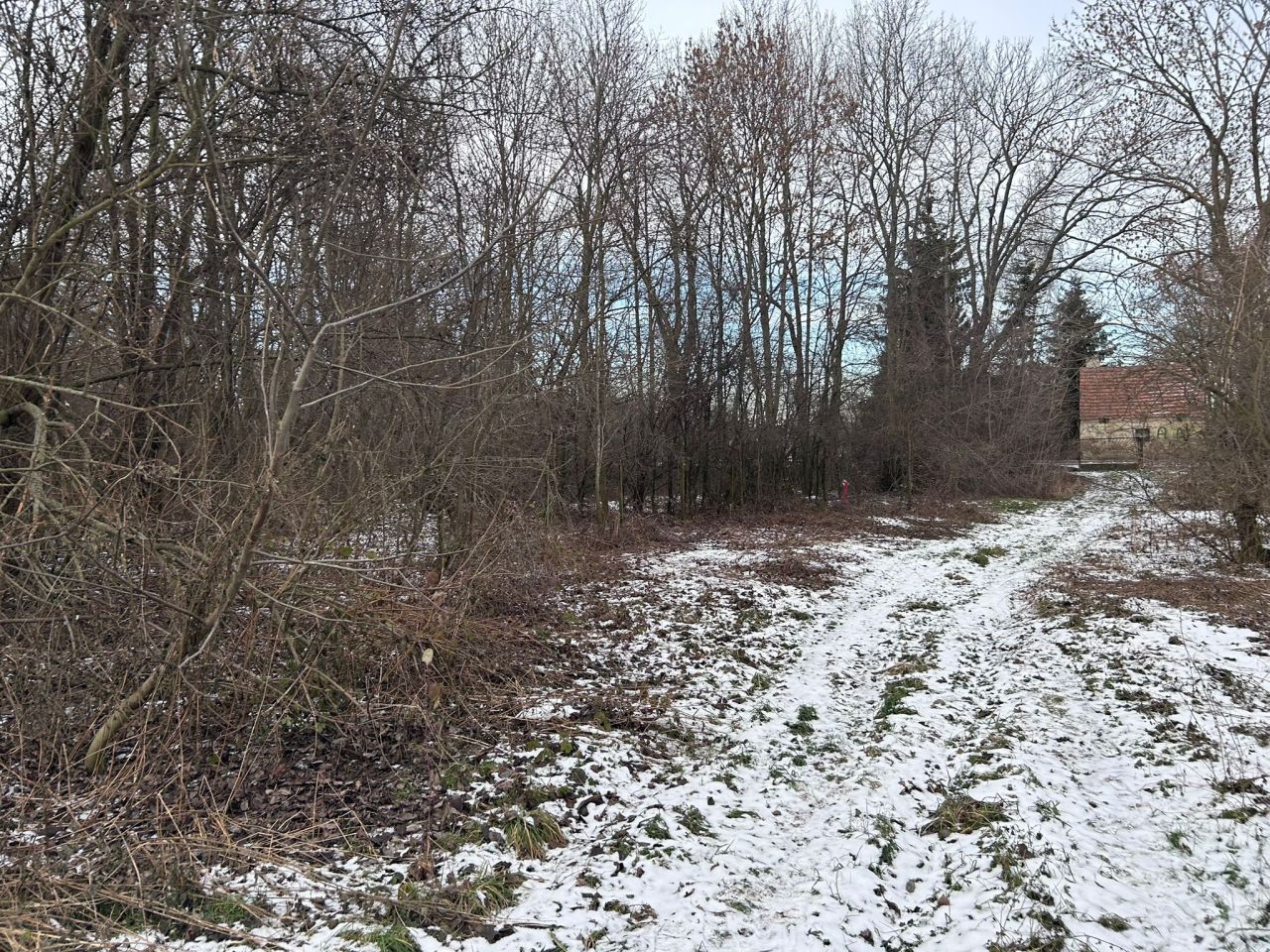 Działka budowlana Dobkowice, ul. Partyzantów. Zdjęcie 10