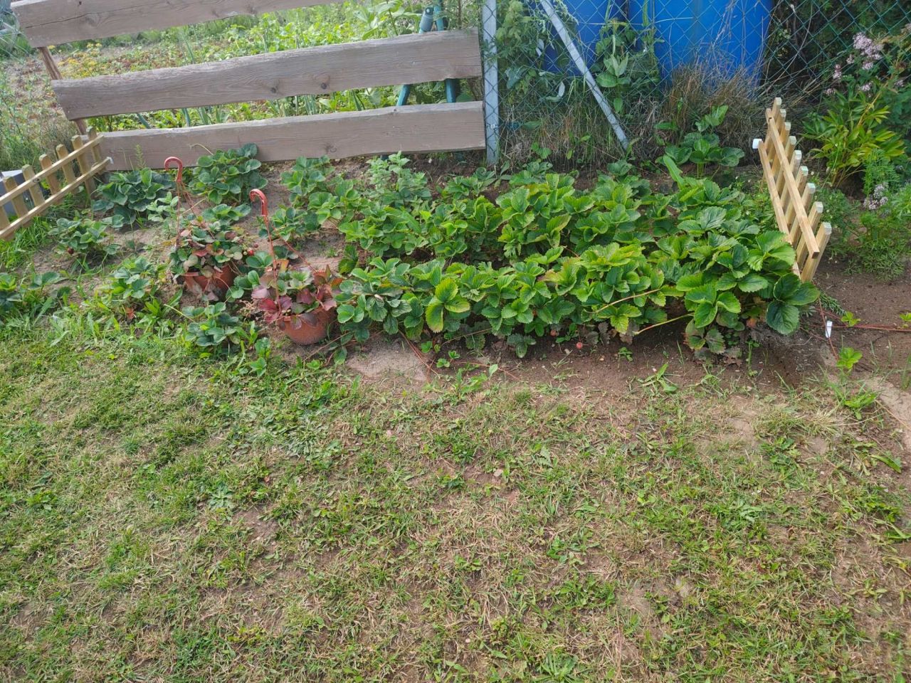 Działka rod Kuków. Zdjęcie 4