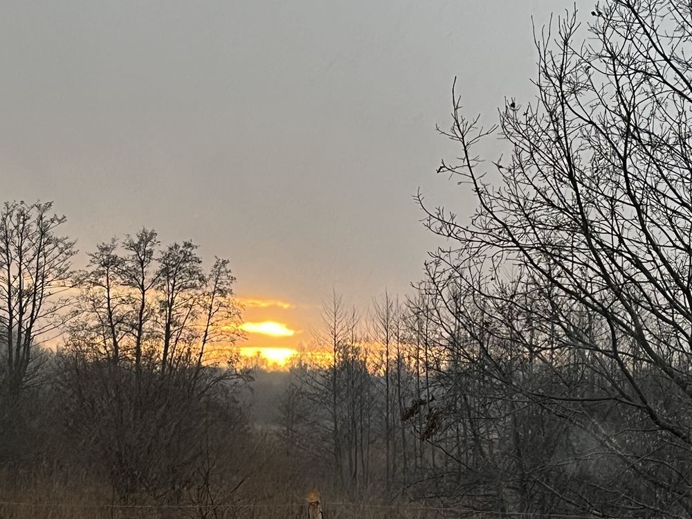 dom wolnostojący Koszalin Rokosowo. Zdjęcie 1