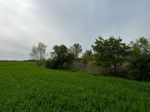 Działka rolna Kolsko, Kolsko. Zdjęcie 4