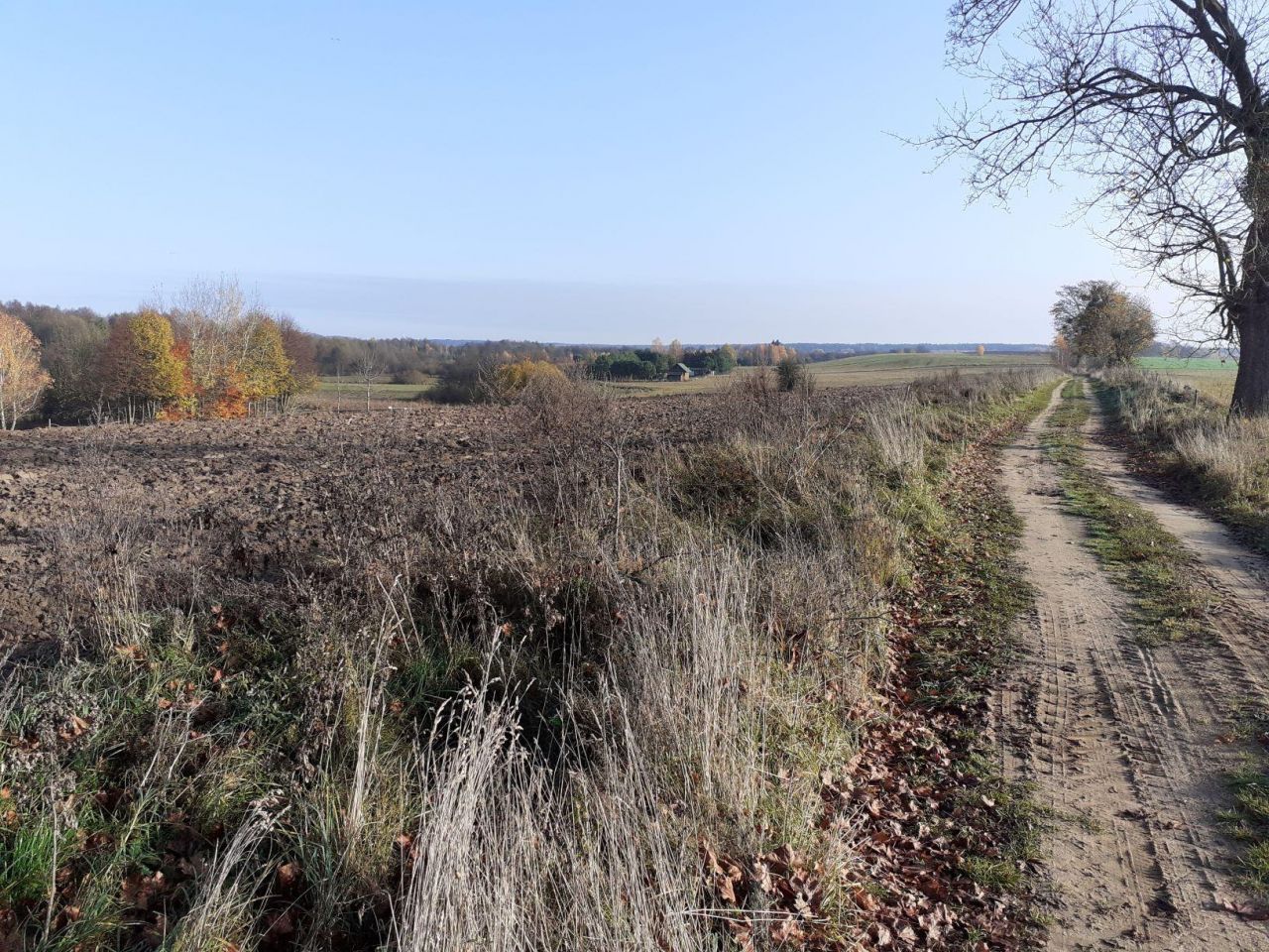 Działka rolna Orzyny. Zdjęcie 5