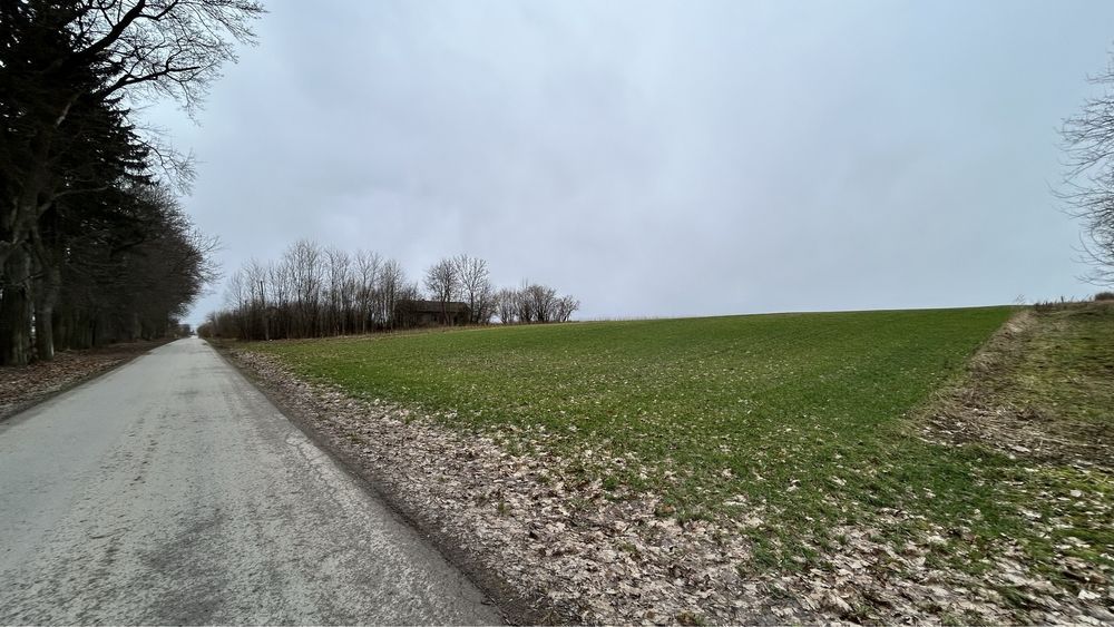 Działka rolno-budowlana Daniszów. Zdjęcie 3