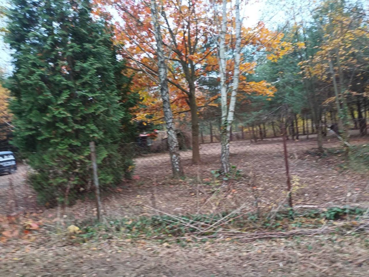 Działka budowlana Wola Prażmowska, ul. Leśna. Zdjęcie 2