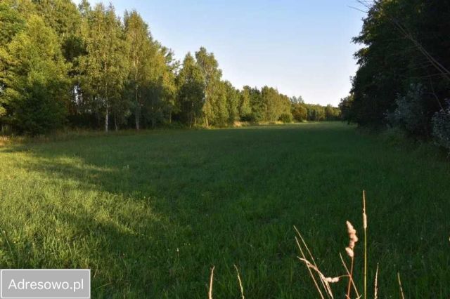 Działka inwestycyjna Nowa Bukówka. Zdjęcie 1