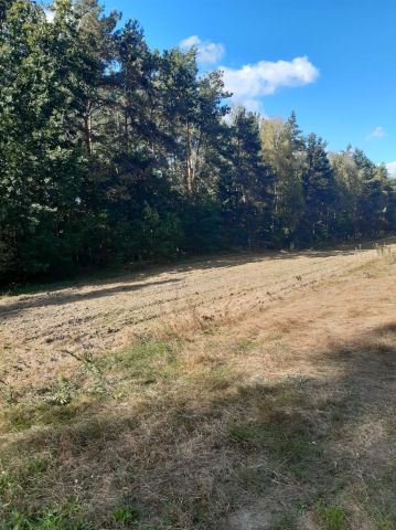 Działka rolna Nowa Wieś-Śladów. Zdjęcie 1