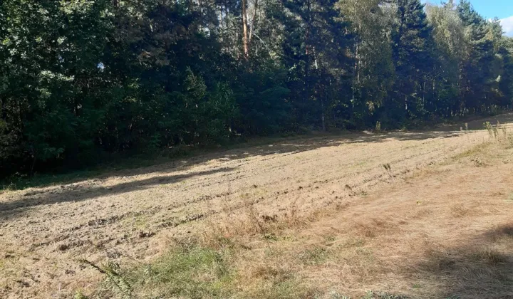 Działka rolna Nowa Wieś-Śladów