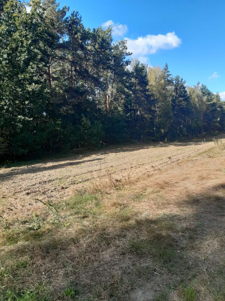 Działka leśna Nowa Wieś-Śladów