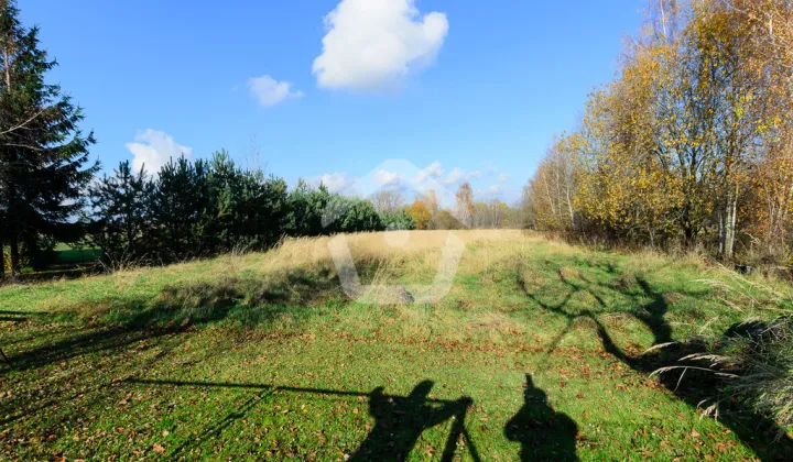 Działka budowlana Trzciana