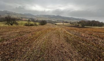 Działka siedliskowa Gostków