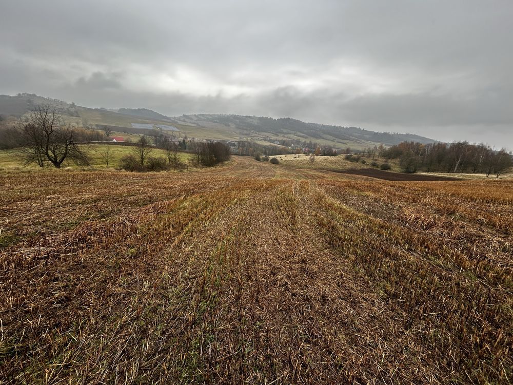 Działka siedliskowa Gostków. Zdjęcie 2
