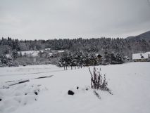 Działka budowlana Brenna