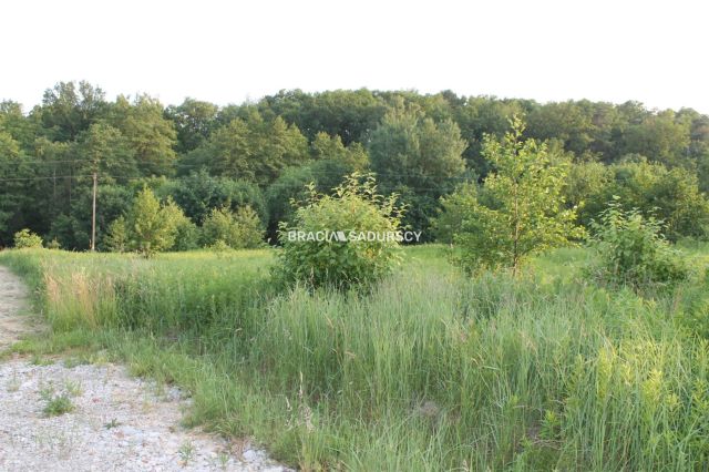 Działka budowlana Libertów, ul. Południowa. Zdjęcie 4