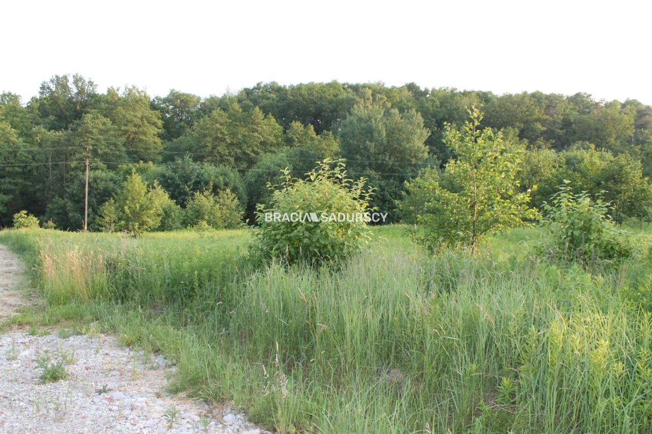 Działka budowlana Libertów, ul. Południowa. Zdjęcie 4