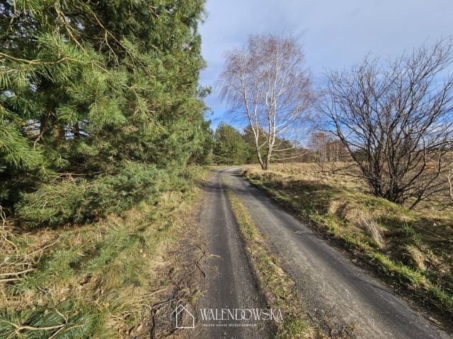 Działka budowlana Gardna Wielka. Zdjęcie 4