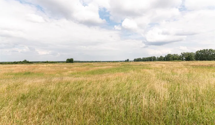Działka Rurzyca, ul. Łąkowa