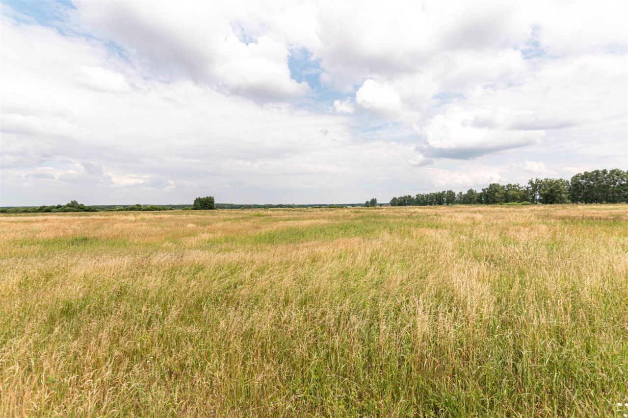 Działka Rurzyca, ul. Łąkowa. Zdjęcie 1