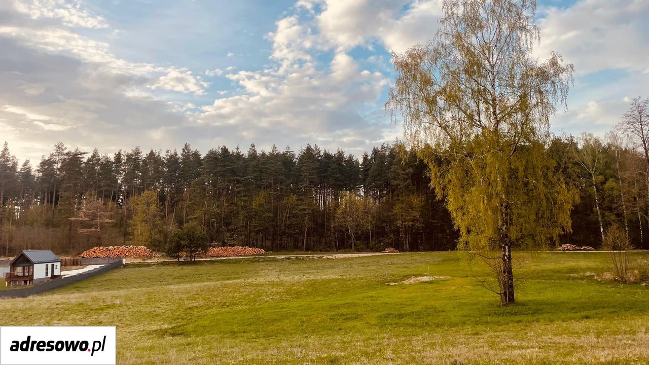Działka rolna Dobra Wola. Zdjęcie 2