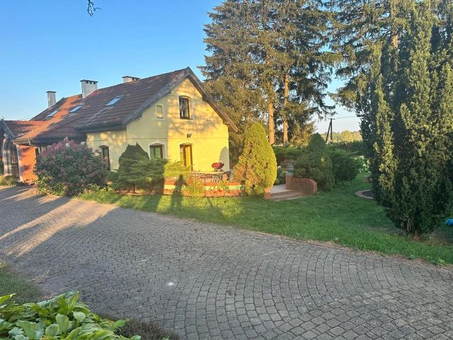 siedlisko Najdymowo. Zdjęcie 19