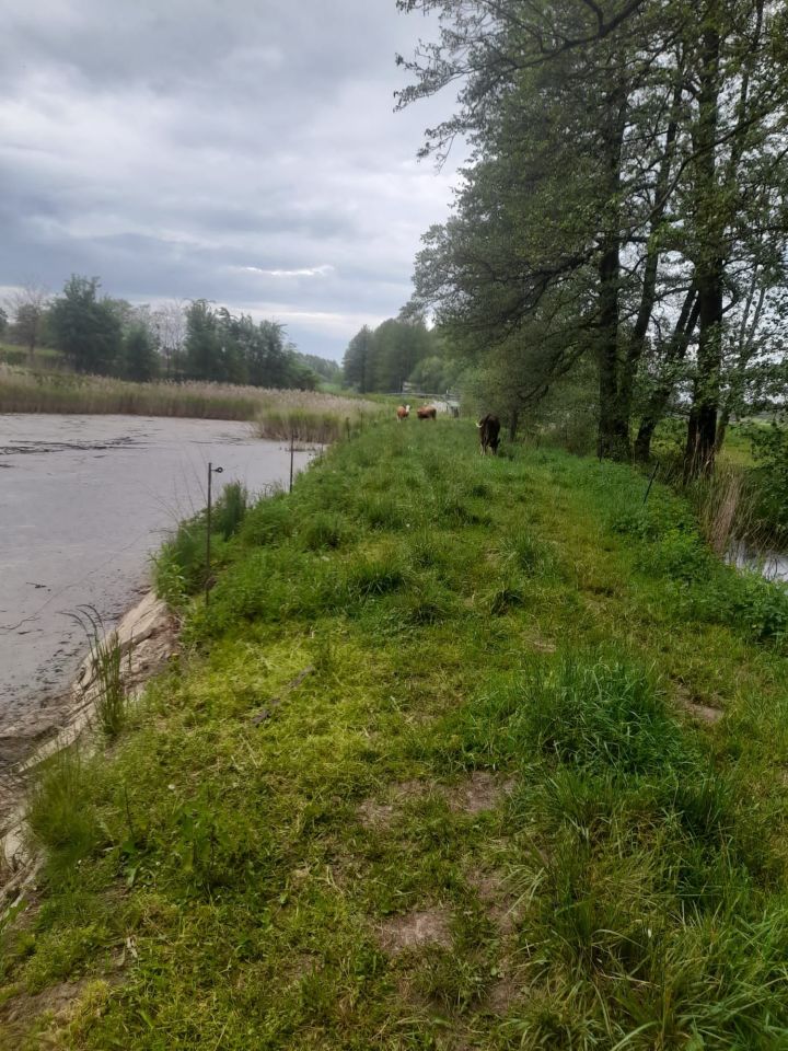 Działka rolna Kotulin. Zdjęcie 2