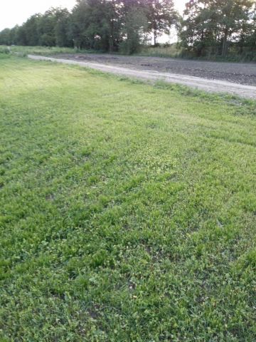 Działka rekreacyjna Opole Kolonia Gosławicka, ul. Częstochowska. Zdjęcie 1