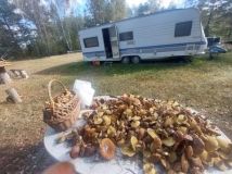 Działka rolna Kalisz, ul. Polna. Zdjęcie 2