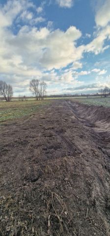 Działka budowlana Krężna. Zdjęcie 1