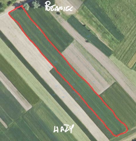 Działka rolna Połaniec Rychterówka. Zdjęcie 1