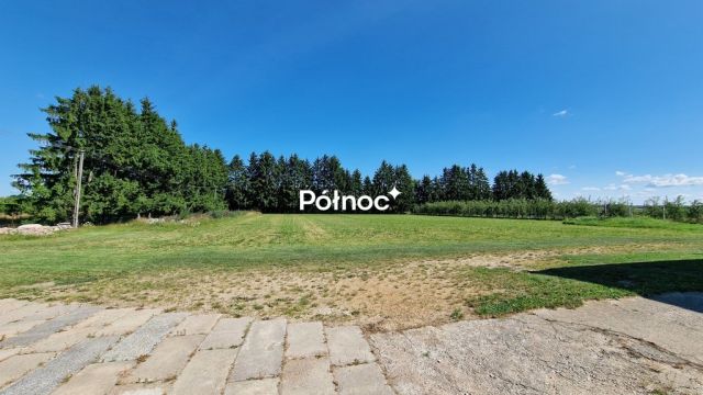 Hala/magazyn Topolany. Zdjęcie 13