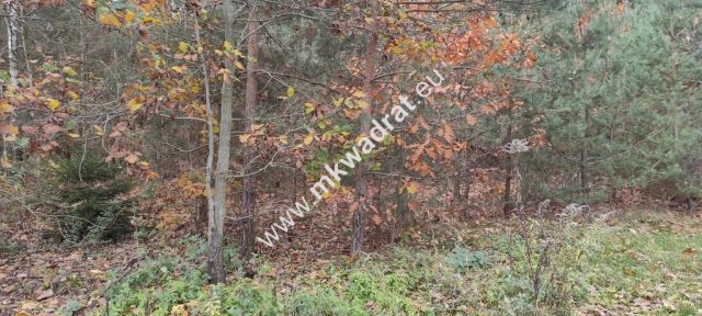 Działka budowlana Tłumy. Zdjęcie 3