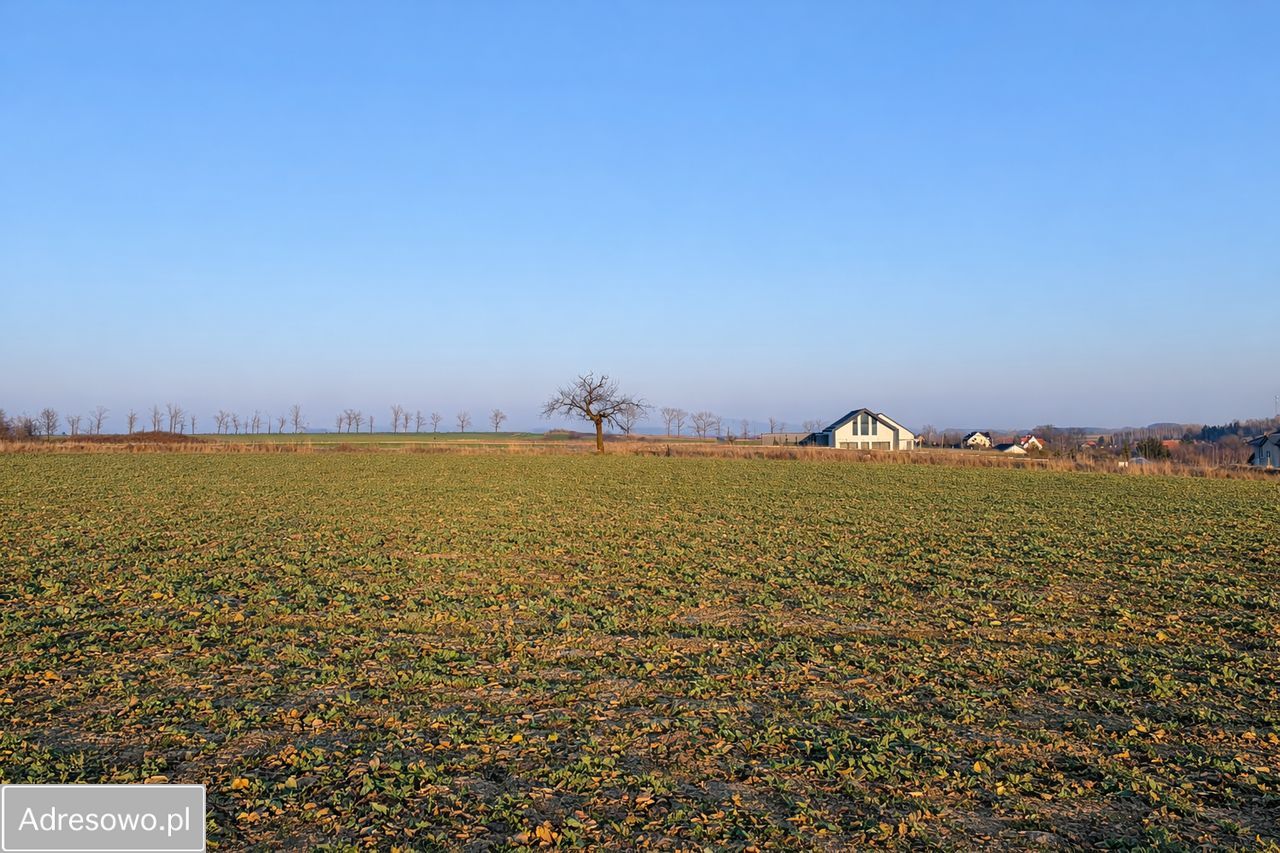 Działka budowlana Witoszów Dolny. Zdjęcie 7