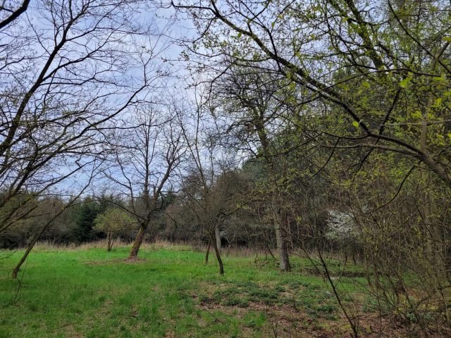 Działka rolno-budowlana Dąbrowa. Zdjęcie 1