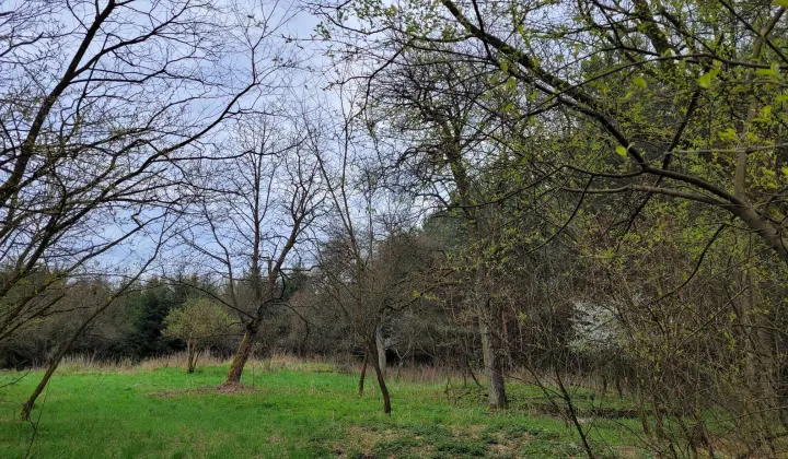 Działka rolno-budowlana Dąbrowa