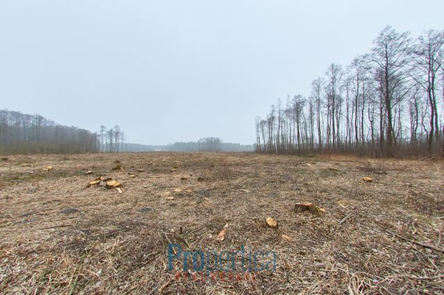 Działka budowlana Opaleniec. Zdjęcie 10