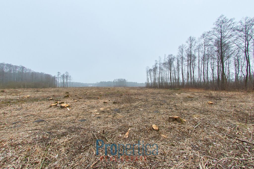 Działka budowlana Opaleniec. Zdjęcie 10