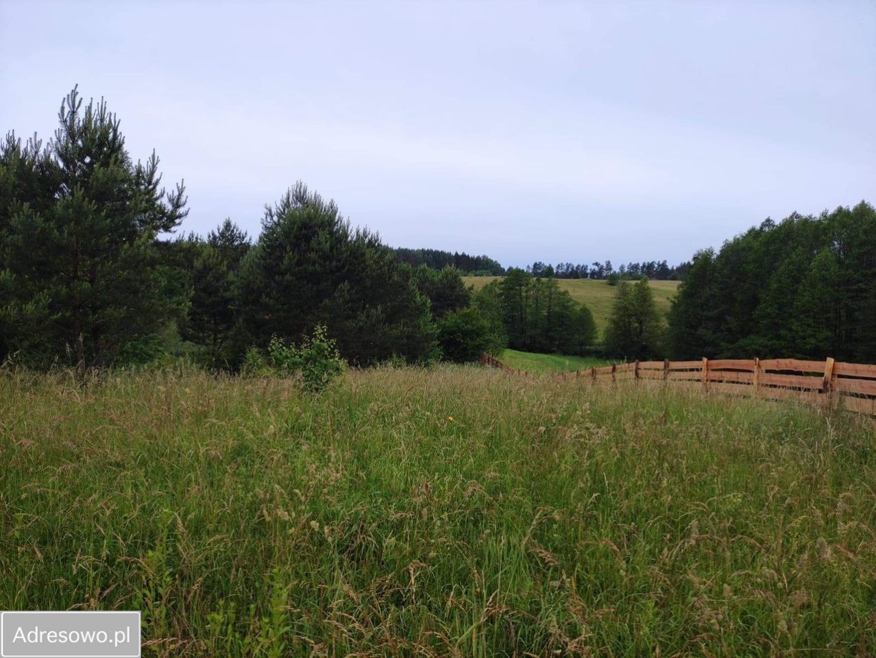 Działka rolna Rostki Skomackie. Zdjęcie 7