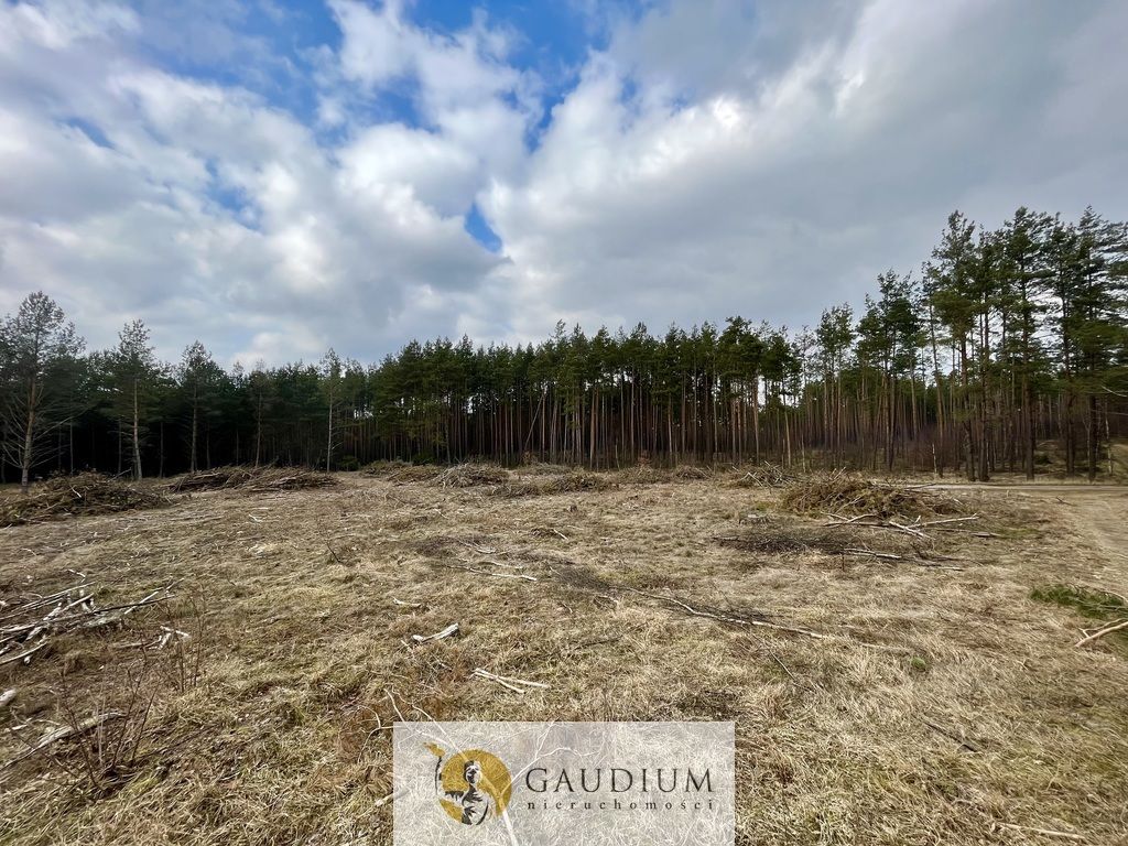 Działka Stara Kiszewa. Zdjęcie 3