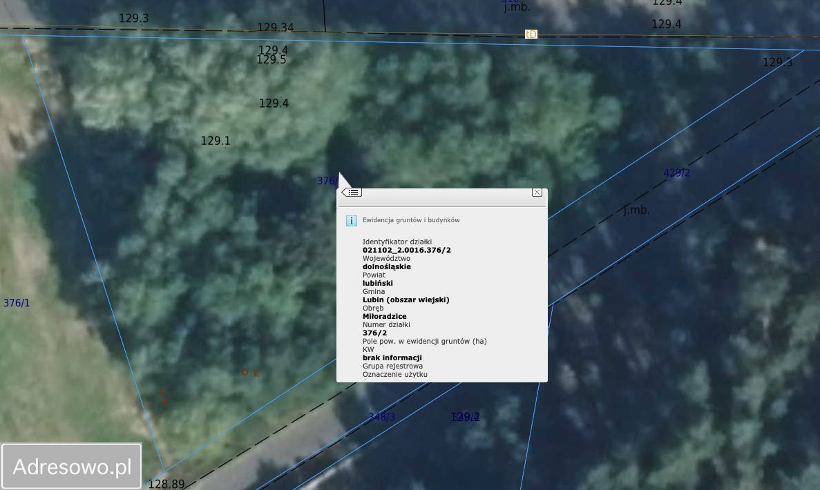 Działka budowlana Miłoradzice. Zdjęcie 5