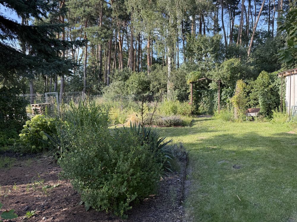 dom wolnostojący, 4 pokoje Kamionki. Zdjęcie 6