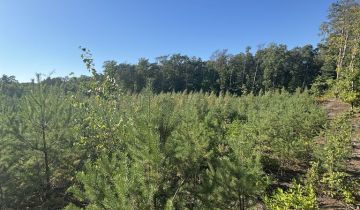 Działka budowlana Tuszyn, ul. Szpitalna