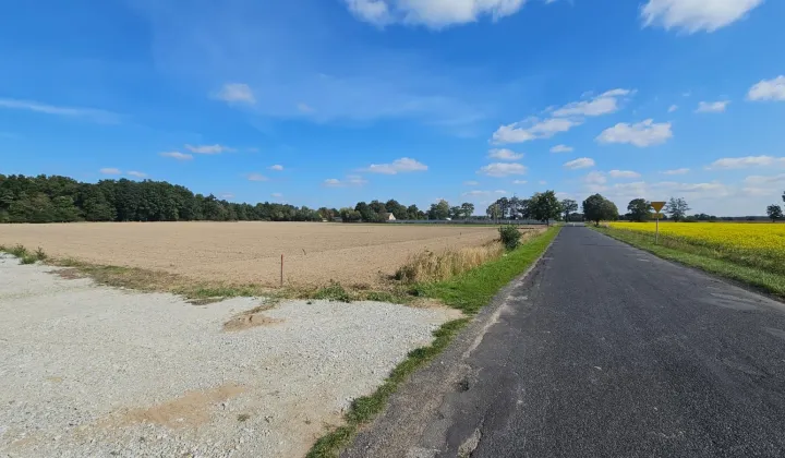 Działka budowlana Miodary