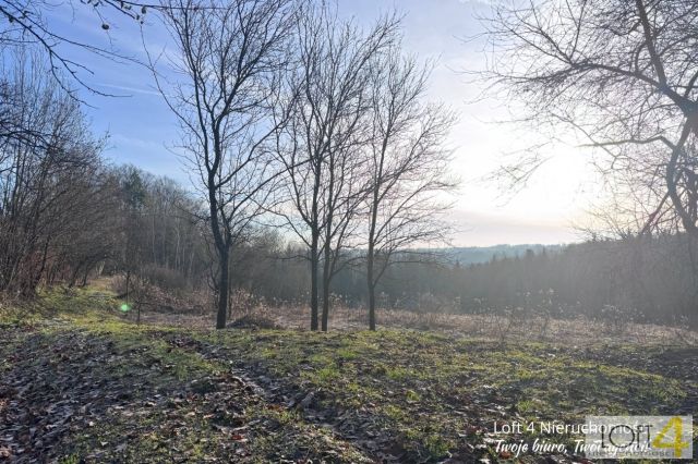 siedlisko, 3 pokoje Rzepiennik Marciszewski. Zdjęcie 6