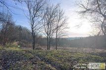 siedlisko, 3 pokoje Rzepiennik Marciszewski. Zdjęcie 4