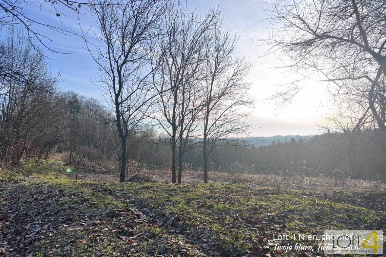 siedlisko, 3 pokoje Rzepiennik Marciszewski. Zdjęcie 6