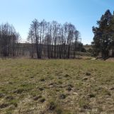 Działka rolno-budowlana Lembarg. Zdjęcie 1