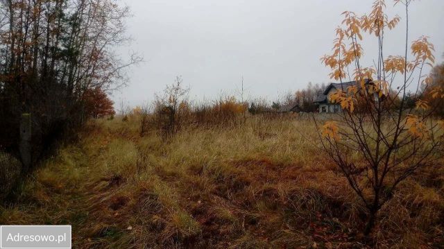 Działka budowlana Łojki, ul. Zielona. Zdjęcie 1