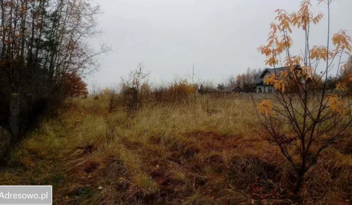 Działka budowlana Łojki, ul. Zielona