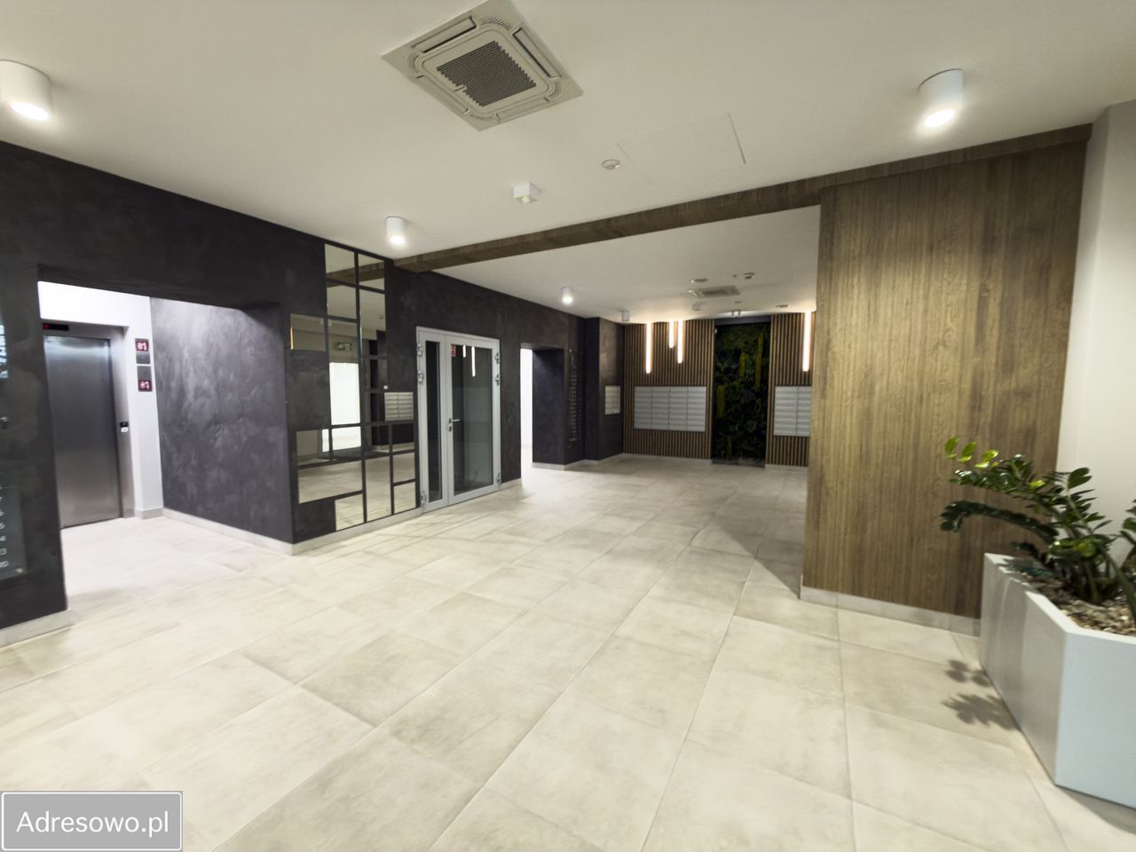 Mieszkanie 2-pokojowe Szczecin Śródmieście, ul. Mieczysława Niedziałkowskiego. Zdjęcie 2