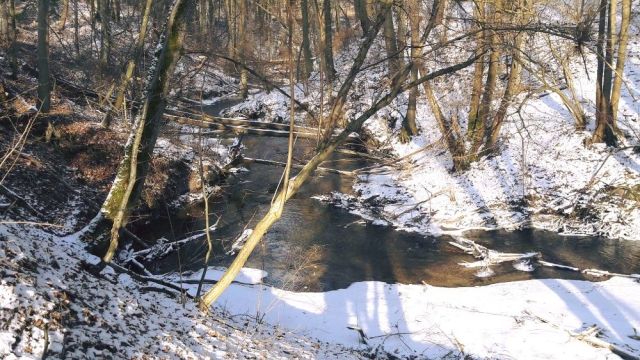 Działka budowlana Naryjski Młyn. Zdjęcie 3