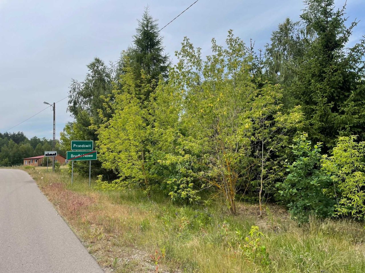 Działka budowlana Brudki Nowe. Zdjęcie 2