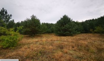 Działka budowlana Miedzichowo, ul. Szparagowa